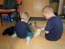 Nils und Felix in G&auml;nserndorf