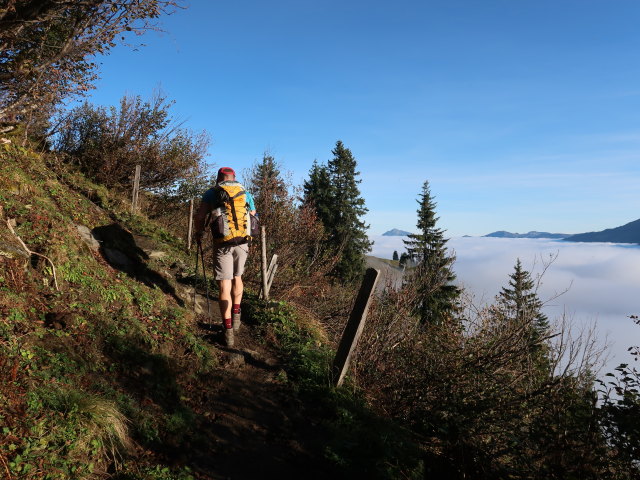 Aaron zwischen Pass Thurn und Gasthof Resterh&ouml;he (11. Okt.)