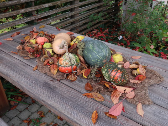 Die Garten Tulln