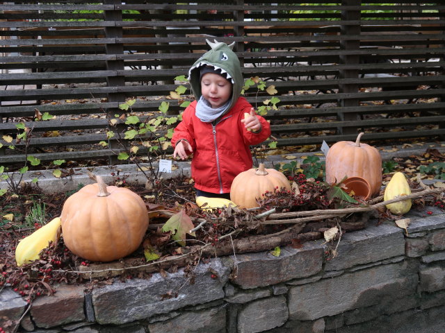 Nils