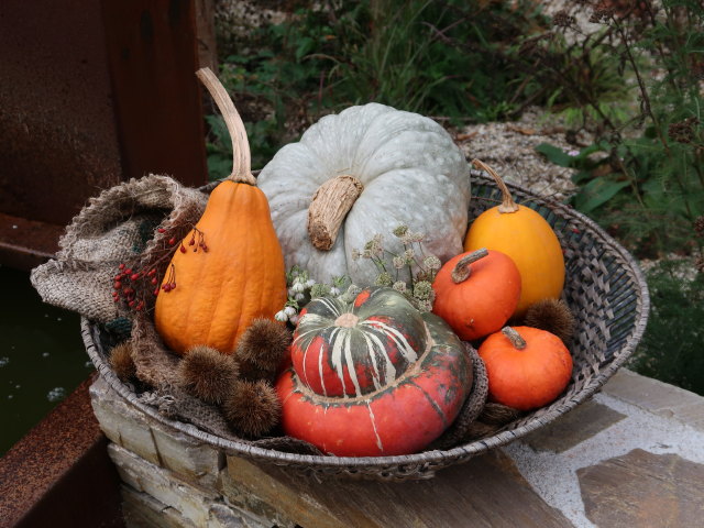 Die Garten Tulln