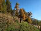 Frank zwischen Wildbachh&uuml;tte und Gumma
