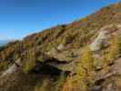 zwischen Wildbachh&uuml;tte und Gumma