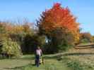 Sabine zwischen Zahlberg und Buschberg
