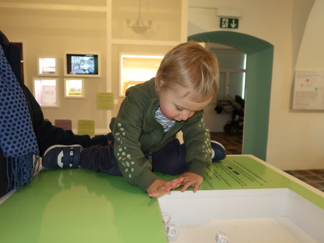 Nils im Virtulleum