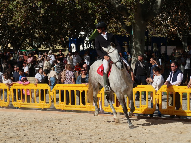 Pla&ccedil;a Font Vella in Inca (13. Nov.)
