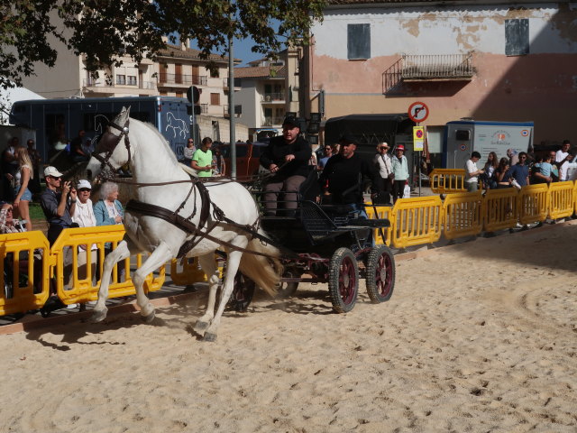 Pla&ccedil;a Font Vella in Inca (13. Nov.)