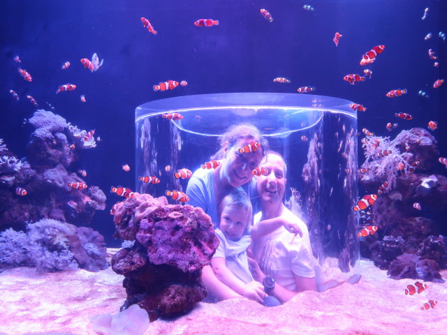Nils, Sabine und ich im Palma Aquarium (16. Nov.)