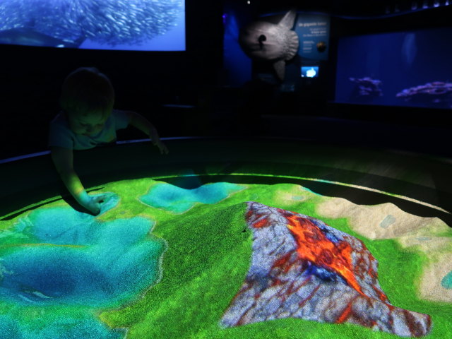 Nils im Palma Aquarium (16. Nov.)