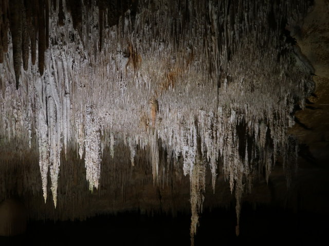 Coves del Drac in Porto Cristo (17. Nov.)