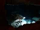 Coves del Drac in Porto Cristo (17. Nov.)