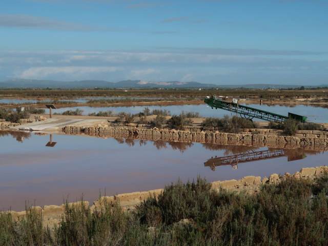 Salinas d'Es Trenc (19. Nov.)