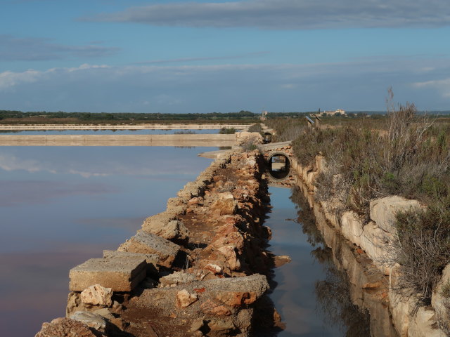 Salinas d'Es Trenc (19. Nov.)