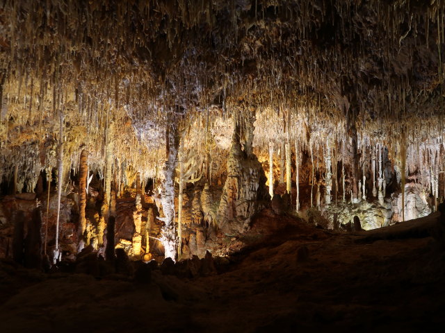 Coves dels Hams in Porto Cristo (21. Nov.)