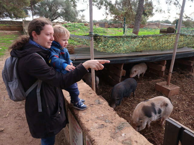 Sabine und Nils in Fresopolis Mallorca (23. Nov.)
