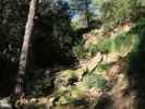 Reserva Park Puig de Galatz&oacute; (22. Nov.)