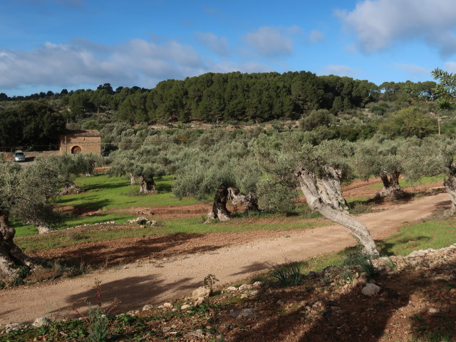 Finca Son Moragues (24. Nov.)