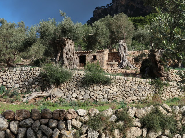 Finca Son Moragues (24. Nov.)