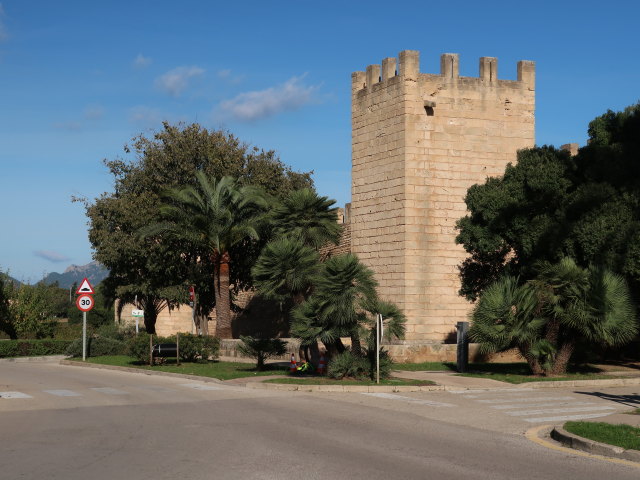 Murades d'Alc&uacute;dia (29. Nov.)