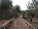 Finca Son Moragues (24. Nov.)