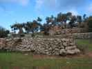 Finca Son Moragues (24. Nov.)