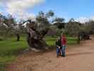 Nils, Sabine und ich in der Finca Son Moragues (24. Nov.)