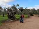 Nils, Sabine und ich in der Finca Son Moragues (24. Nov.)