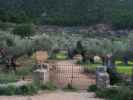 Finca Son Moragues (24. Nov.)