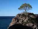 Cala de Sa Calobra (26. Nov.)
