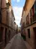 Carrer de Miquel Costa i Llobera in Pollen&ccedil;a (27. Nov.)