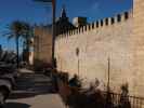 Murades d'Alc&uacute;dia (29. Nov.)
