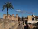 Murades d'Alc&uacute;dia (29. Nov.)