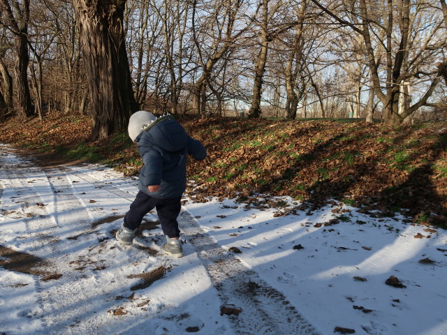 Nils