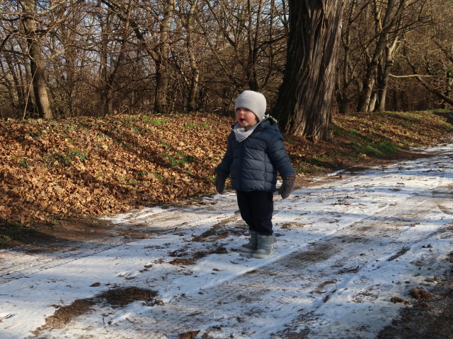 Nils