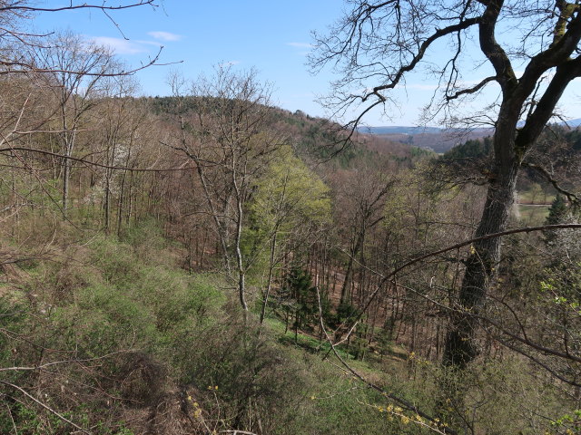 von der Ruine Johannstein Richtung S&uuml;dosten