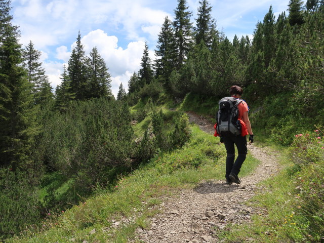 Carmen zwischen Alpilakopf und Gasthof Kristberg
