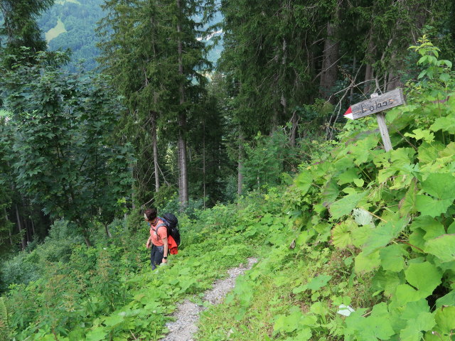 Carmen im Dalaaser Gemeindewald