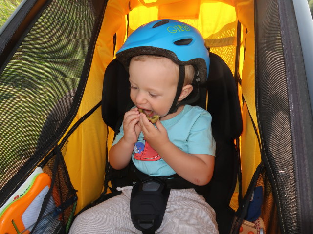 Nils zwischen Niederkreuzstetten und Hautzendorf