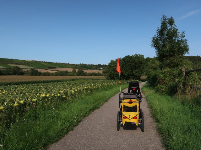 zwischen Schleinbach und Ulrichskirchen