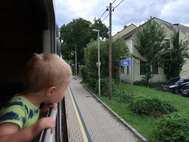 Nils in der Haltestelle Z&ouml;bing, 213 m