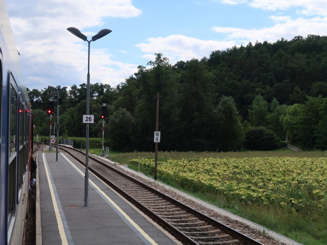 Bahnhof Plank am Kamp, 238 m