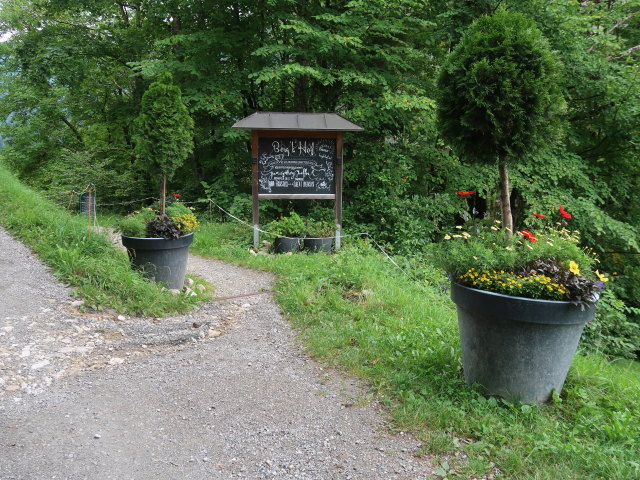 Kaisertal zwischen Gasthof Veitenhof und Gasthof Pfandl (23. Aug.)