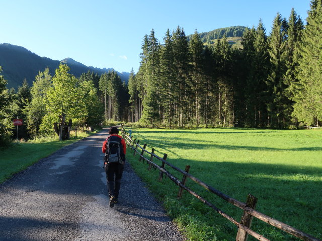Carmen im Schwarzachtal zwischen Gasthof K&uuml;hle Rast und Schwarzachbichlalm
