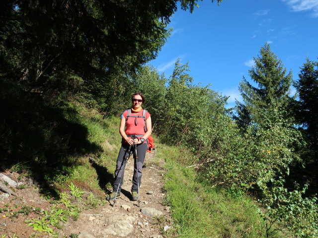 Carmen zwischen Kolmhaus und Ahornach
