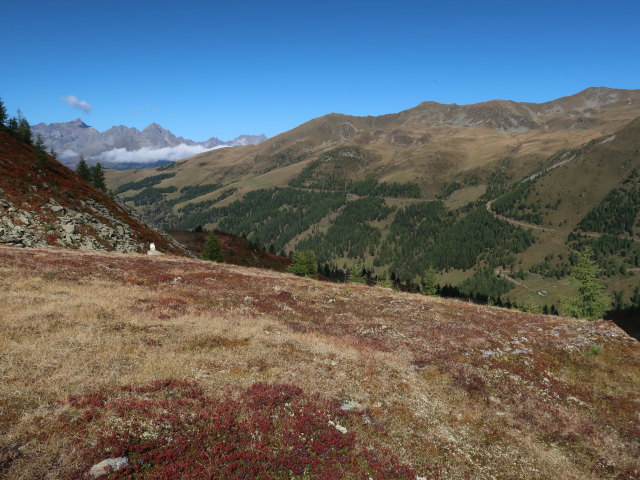 zwischen Staller Tor und Martischnigspitz