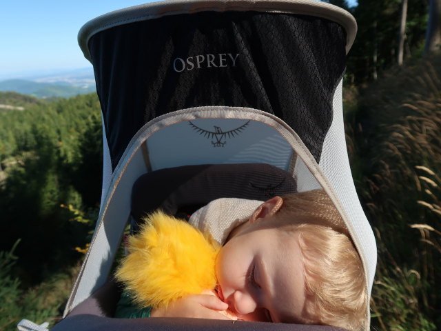 Nils zwischen Bahnhof Semmering und Pinkenkogel