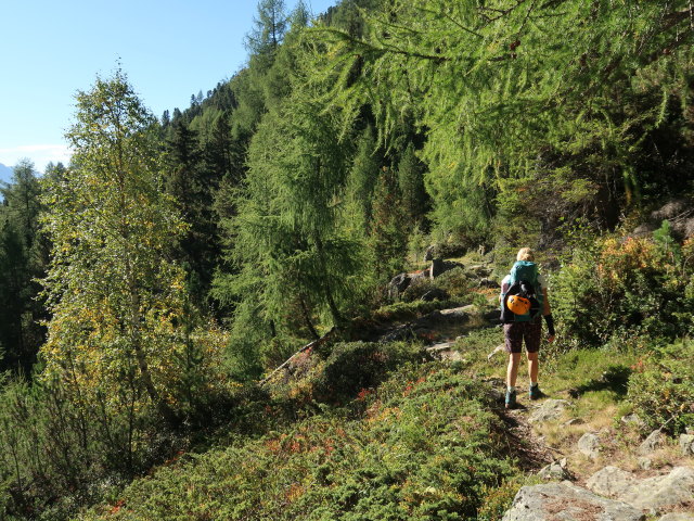 Evelyn zwischen Gehsteigalm und D&uuml;rreberg (20. Sep.)