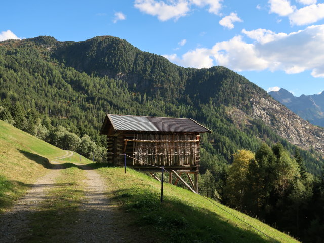 zwischen Hochzeigerhaus und Li&szlig; (21. Sep.)