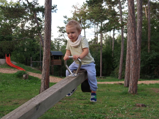 Nils am Waldspielplatz Hirtenberg