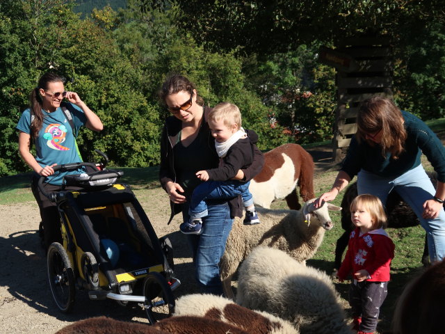Ursa, Sabine, Nils, Ella und Hannelore im Tierpark Buchenberg